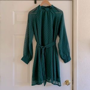 NWT Long-sleeved Green Dress